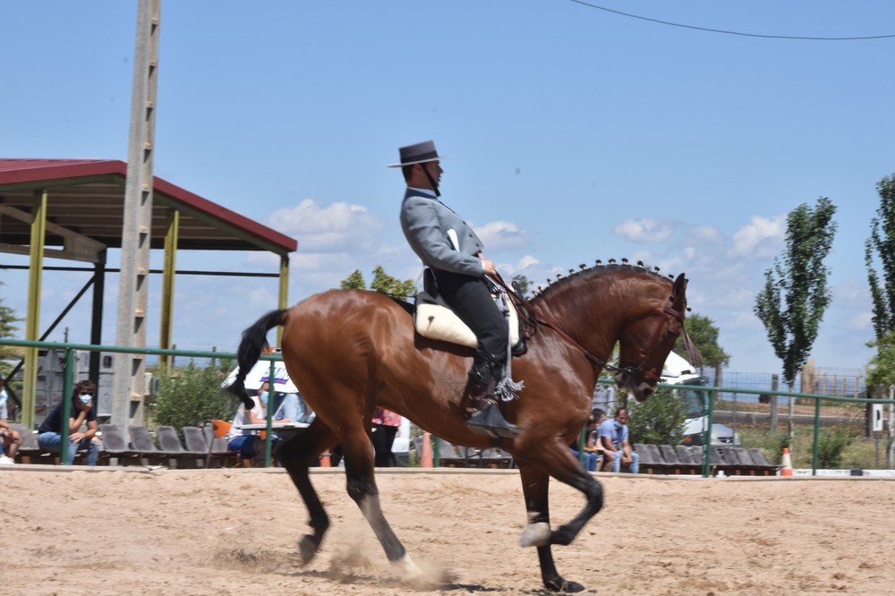 Once binomios alzaron el telón de la Doma Vaquera.